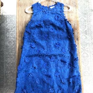 Eri + Ali Anthropologie Daisy Lace Shift Dress